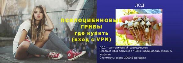 spice Абаза