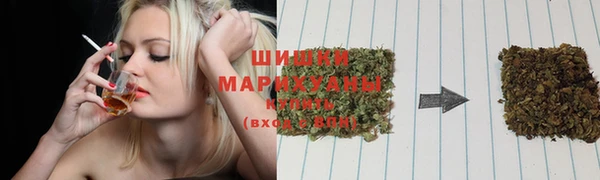 spice Абаза