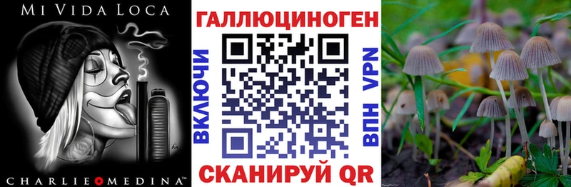 Псилоцибиновые грибы прущие грибы Ясный